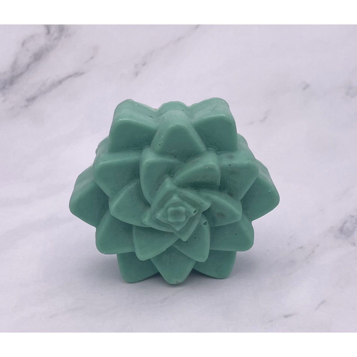 -Soap, Succulent - Element LABS Bath and Body