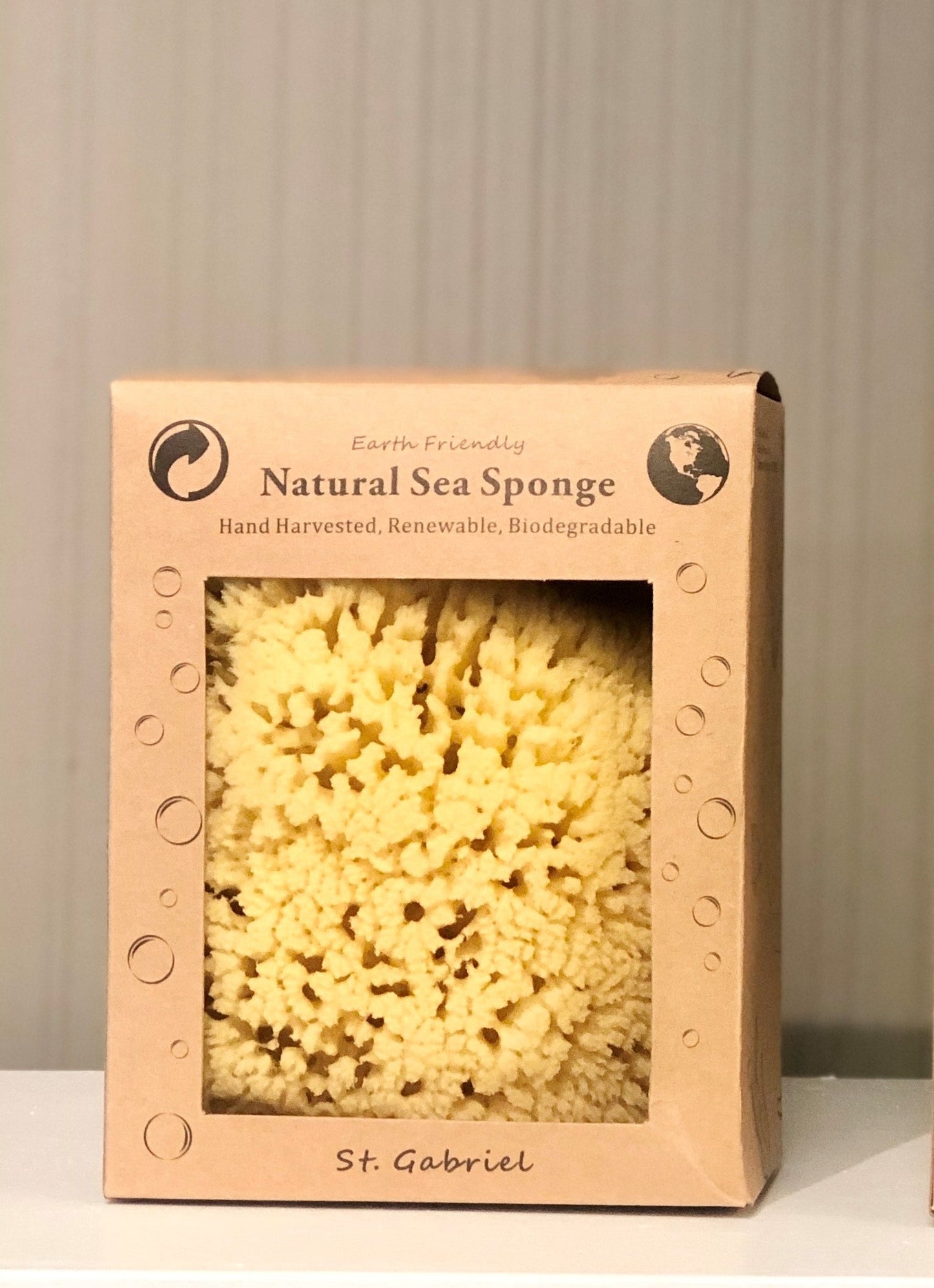 Natural Sea Sponge