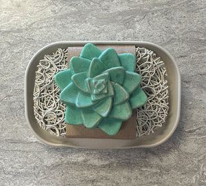 Soap, Succulent