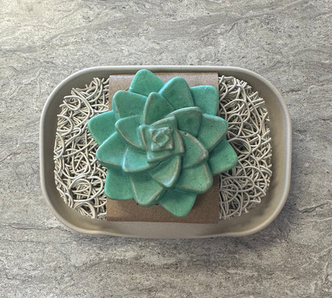 Soap, Succulent
